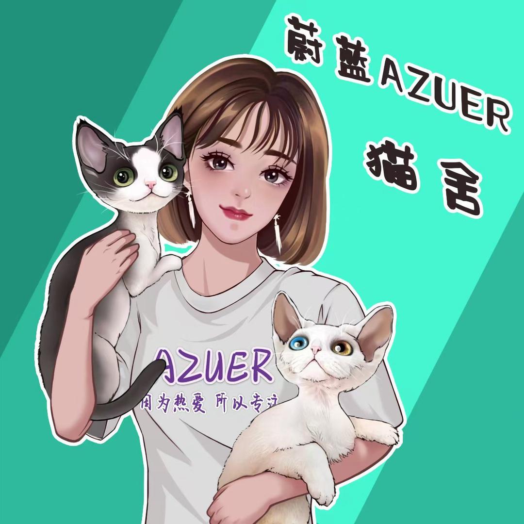 蔚蓝家德文卷儿-洋洋