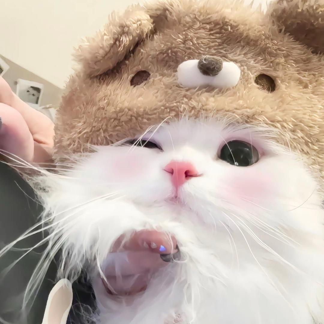 小鹿ay