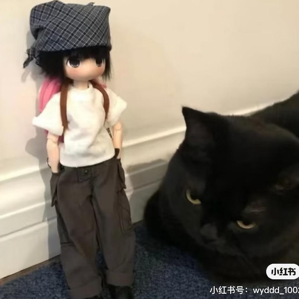 岑嵩嵩.^