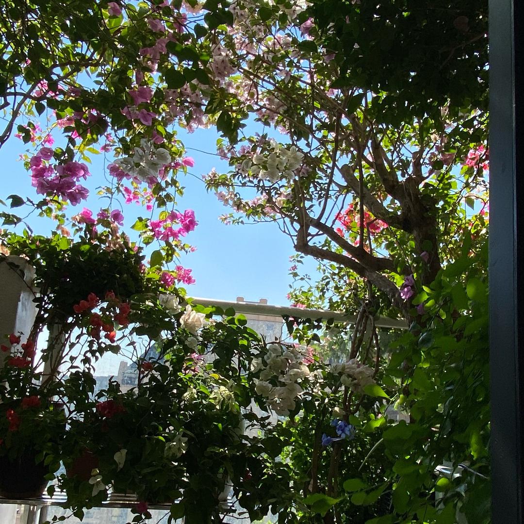 @住顶楼的老男人