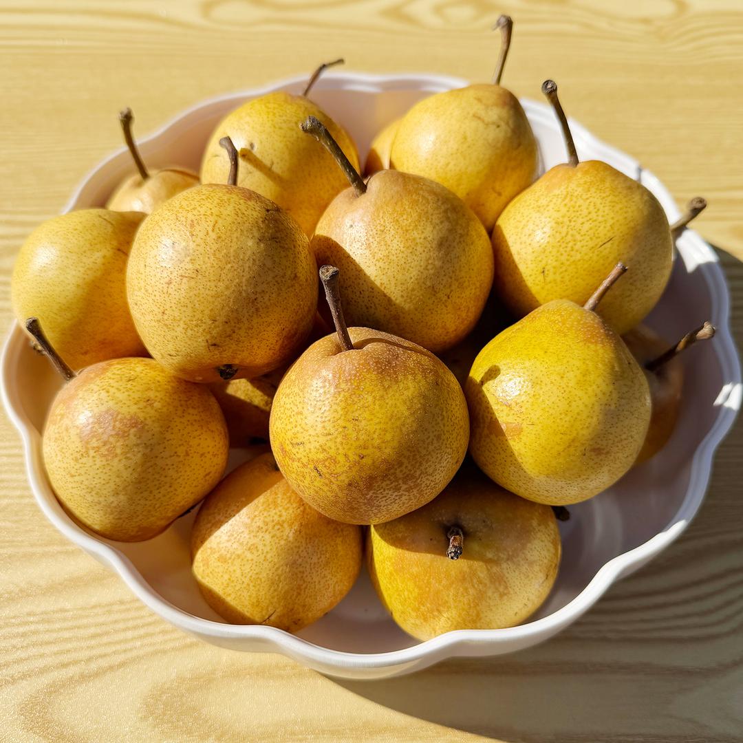 东北阿九土特产店