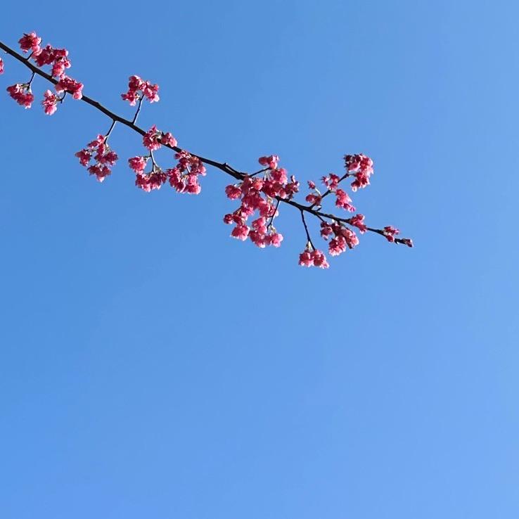 方圆