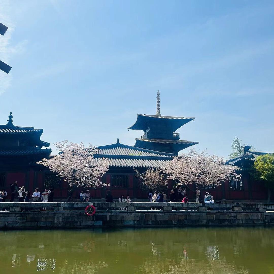 🍀秀🌻秀💐🌴