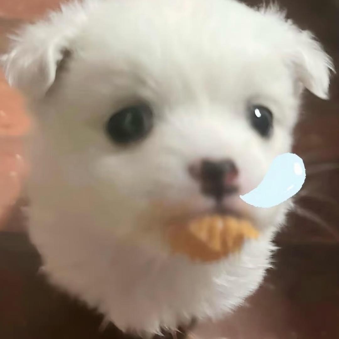 我这一生如绿豆冰