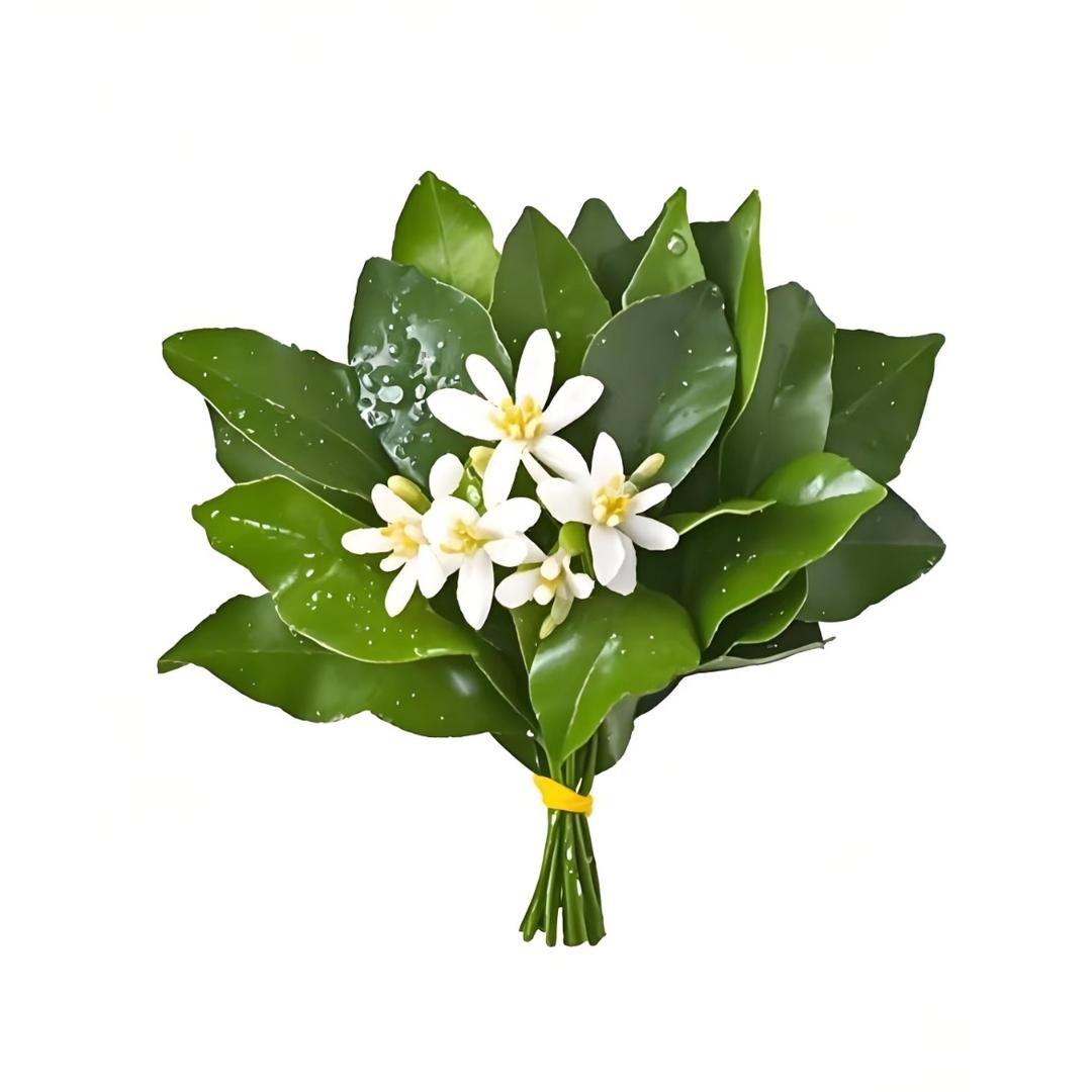 货代战神☀️货代主理人