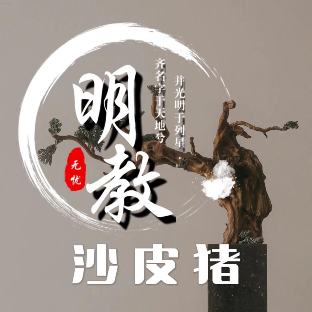 明教🌞沙皮猪