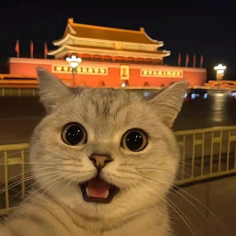 成果成狗🌈