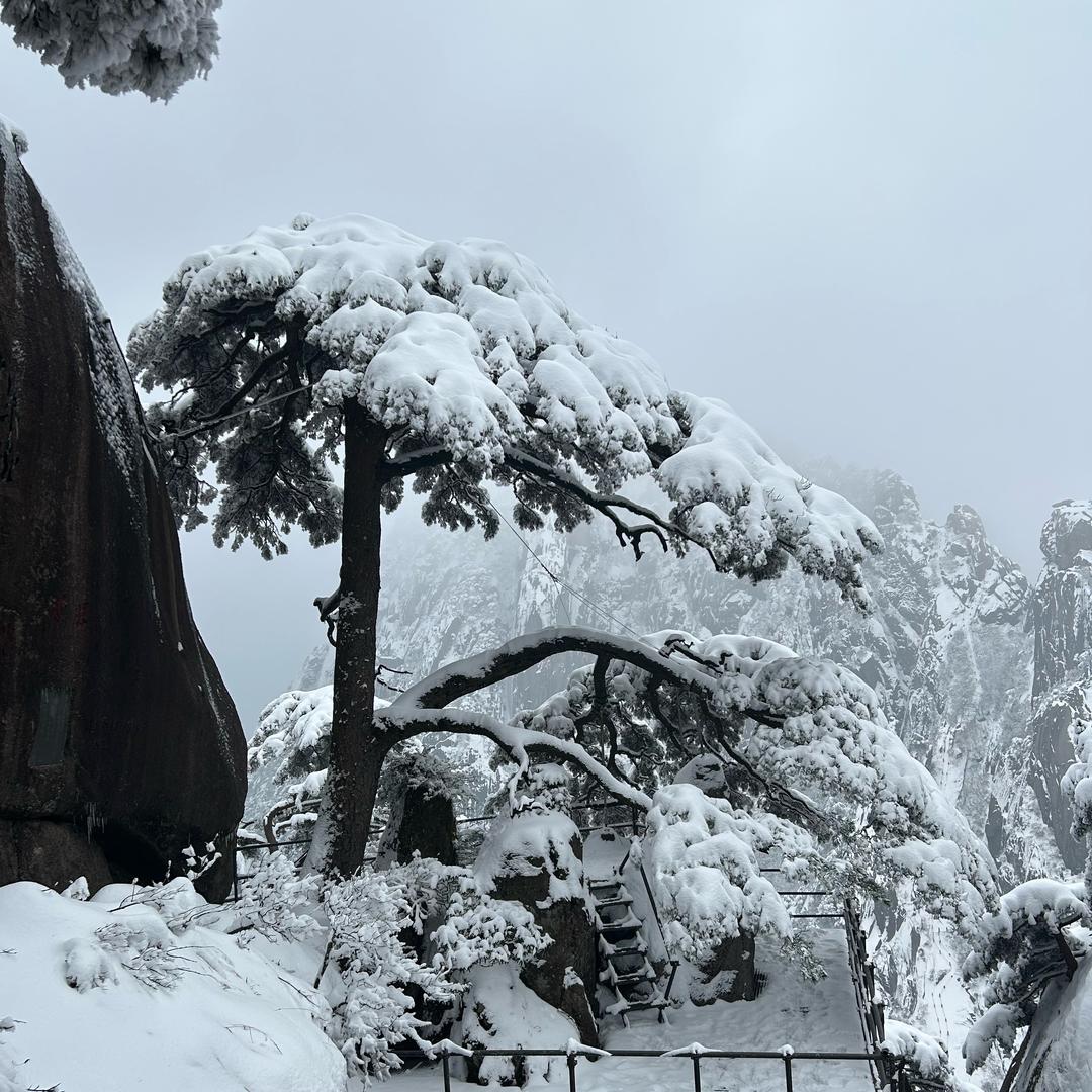 地保