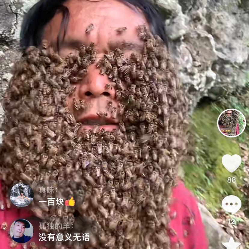 养蜂的磐安一家烧烤店