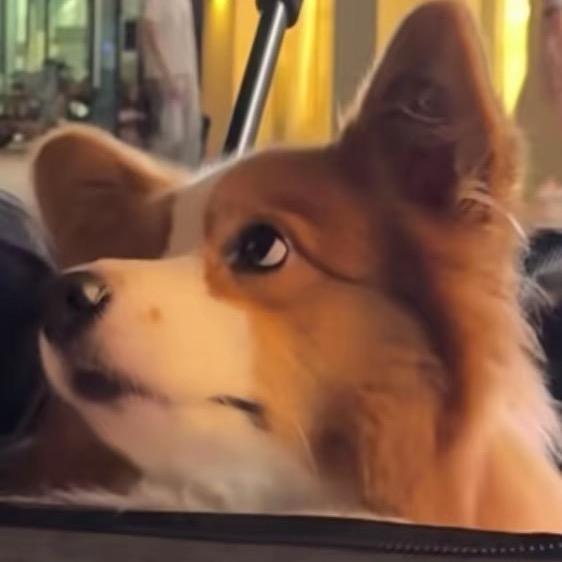 我爱钱，钱爱我🐿️