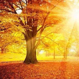 老赵登洋数码坊