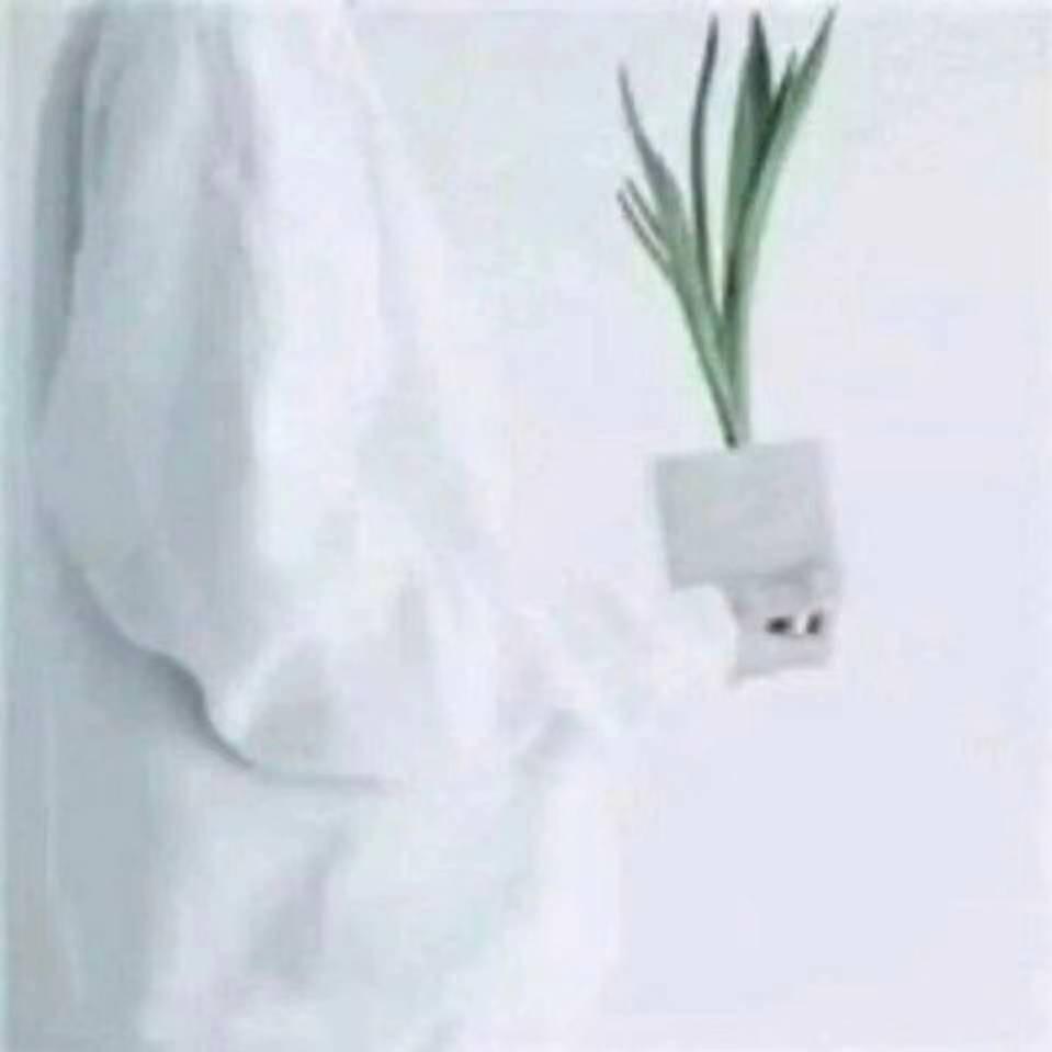 🍍🍍