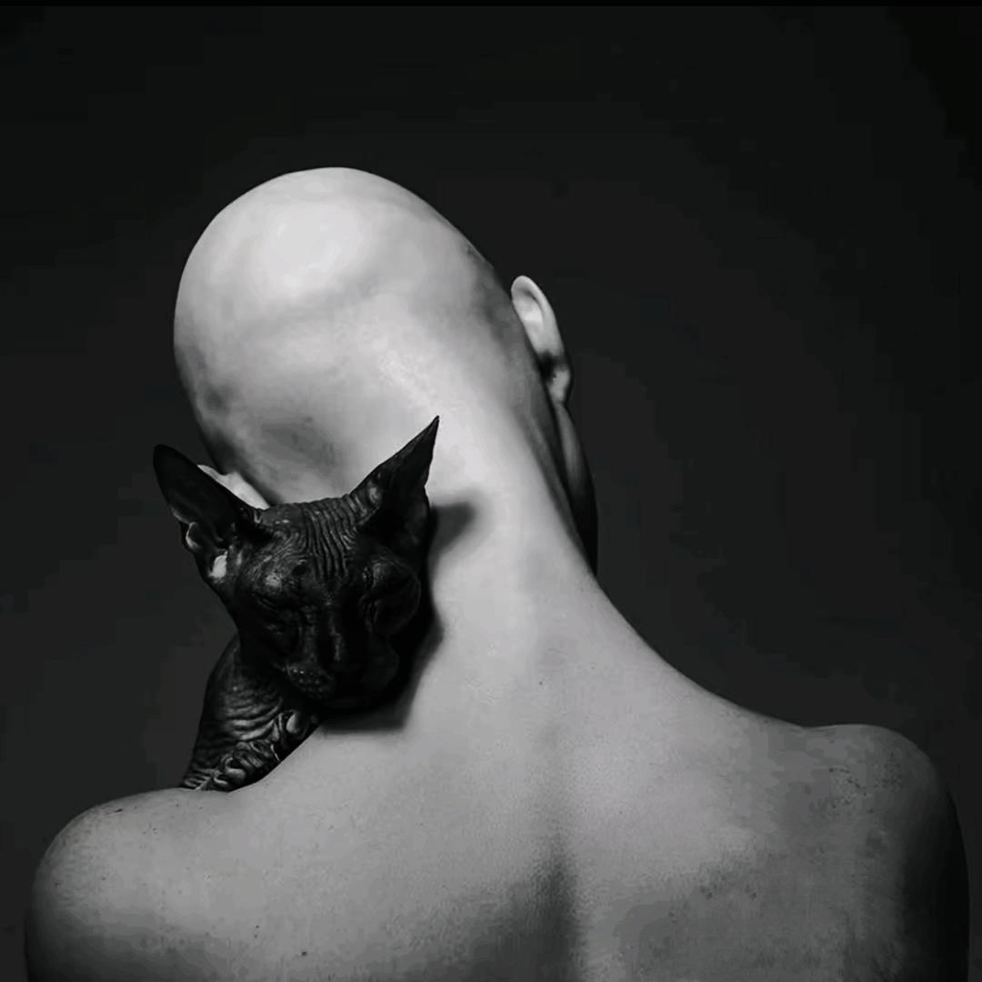 鱼壳·的Ultra生活