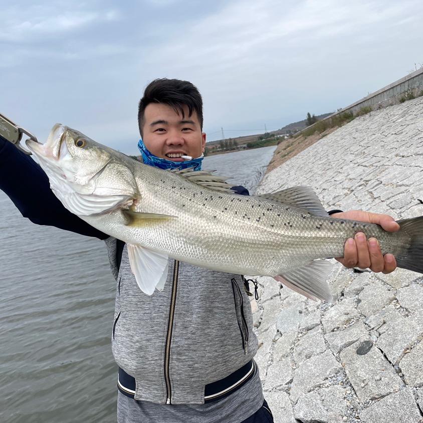 青岛果冻户外海钓用品