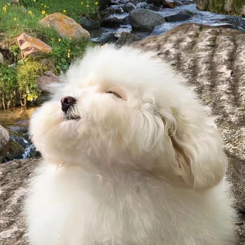 姚哈哈～