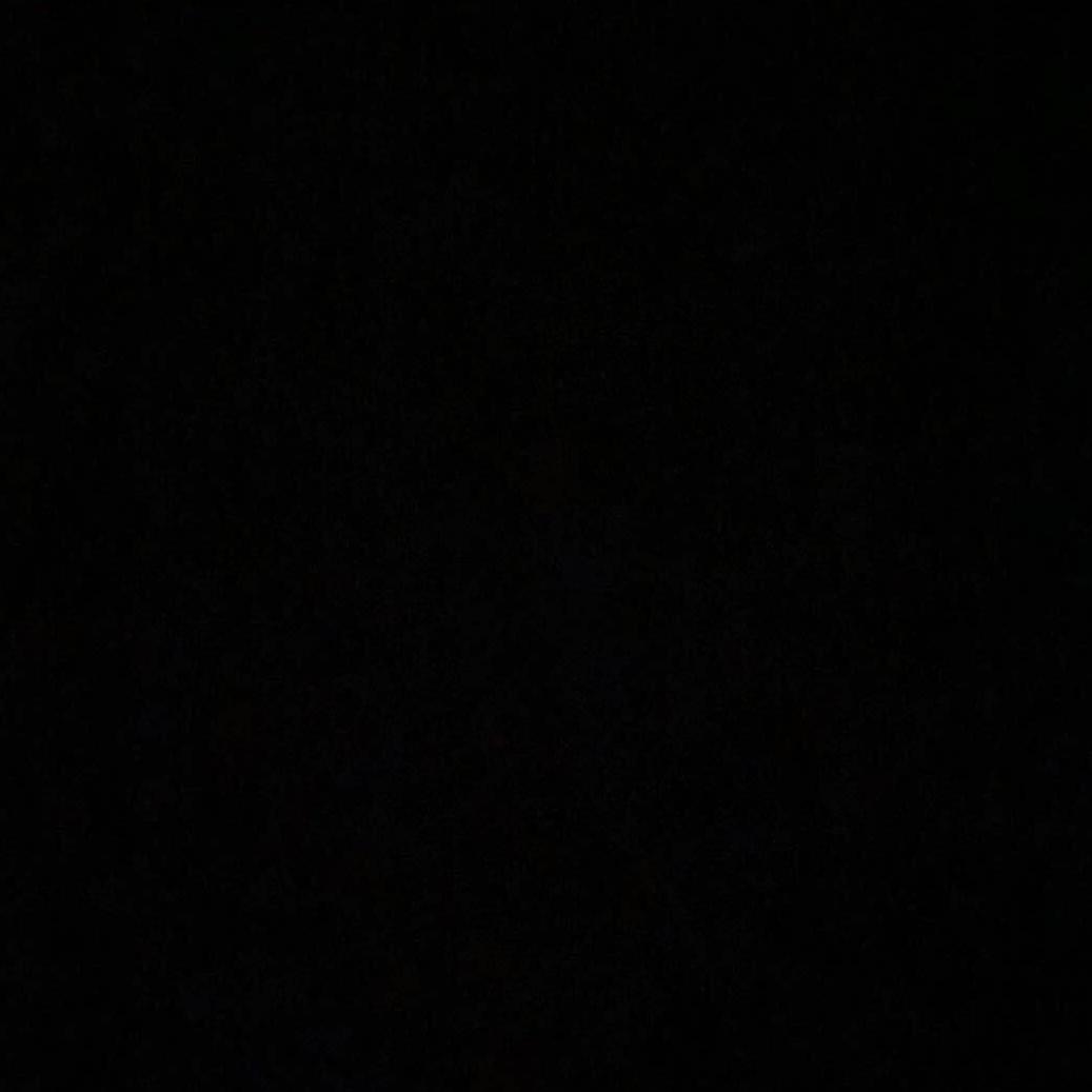 奥飞去鼠
