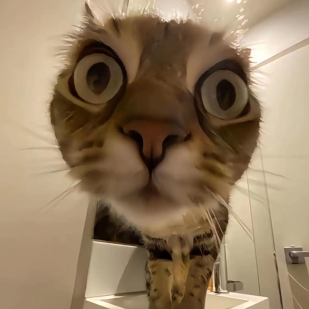 为什么要撞我的车