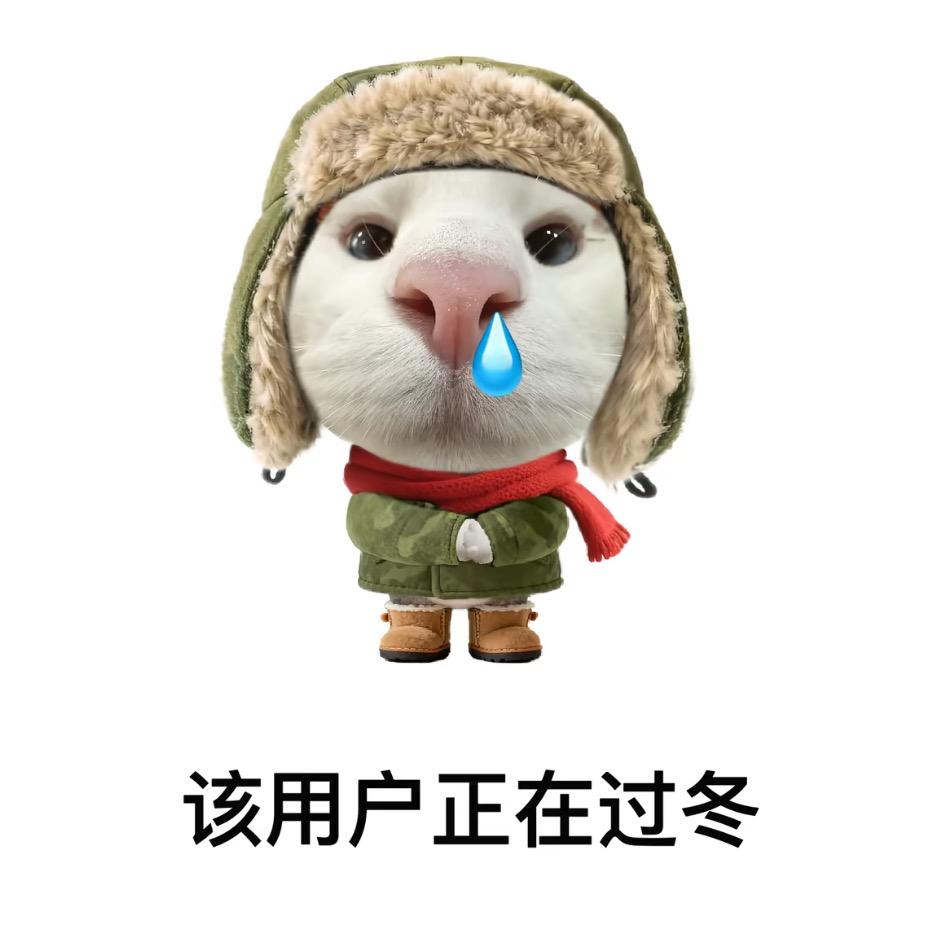 泡泡泡泡鱼