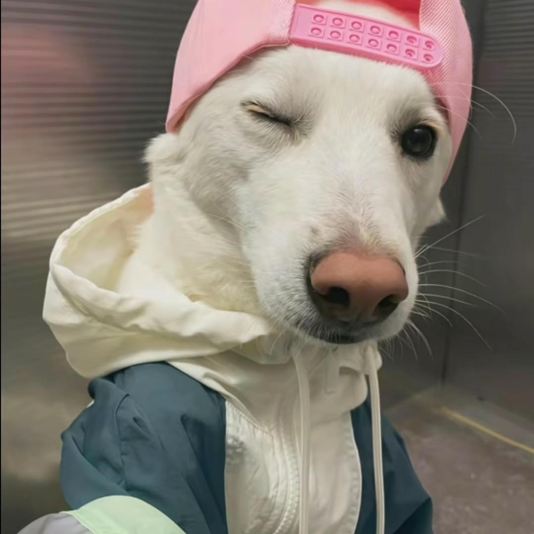 一米半大个