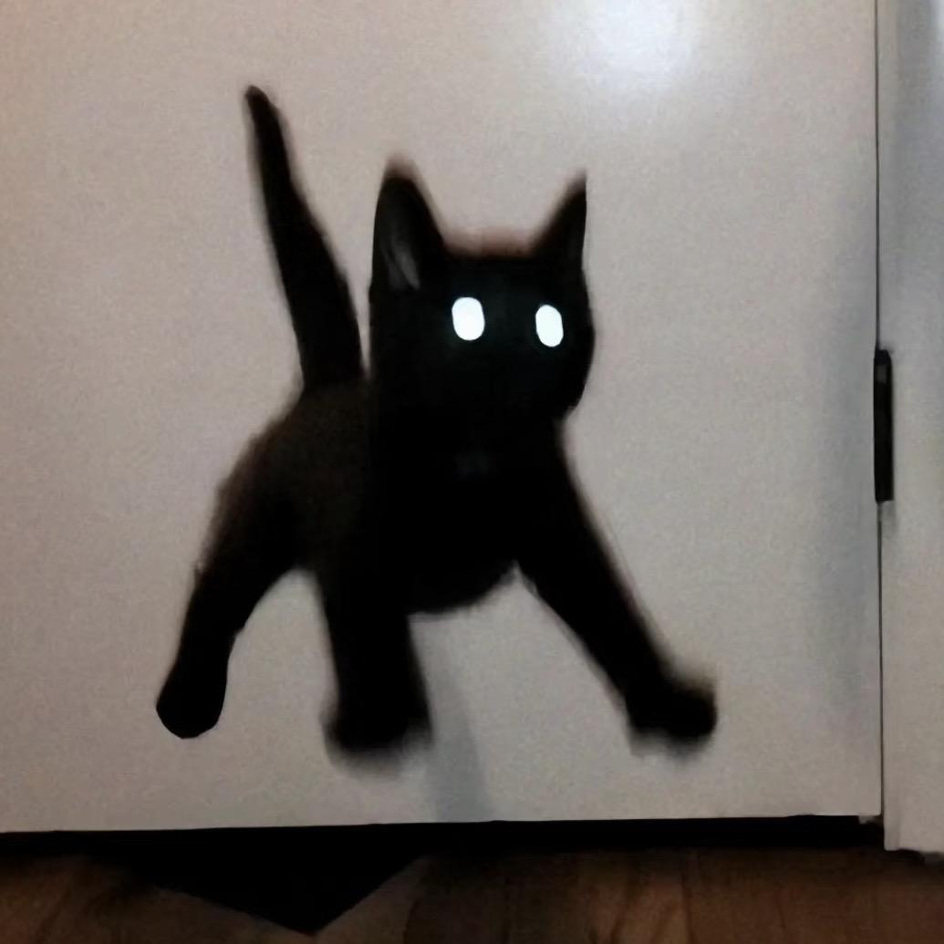 金锁🐾