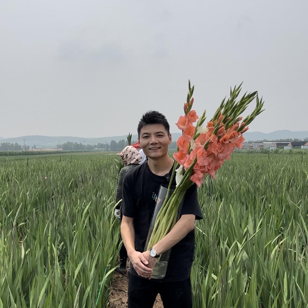天津市香樟坊小杨杨鲜花云仓