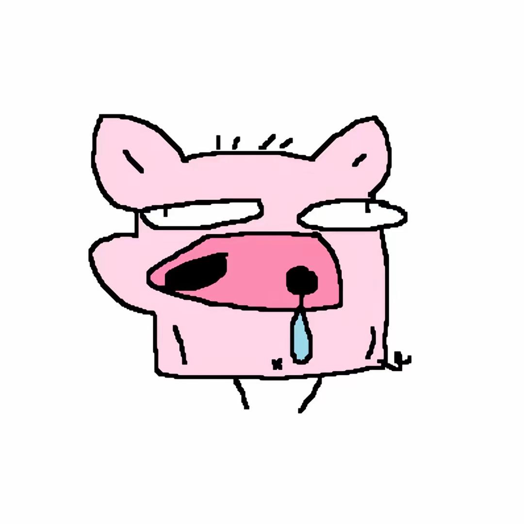 韩国野生雨花石