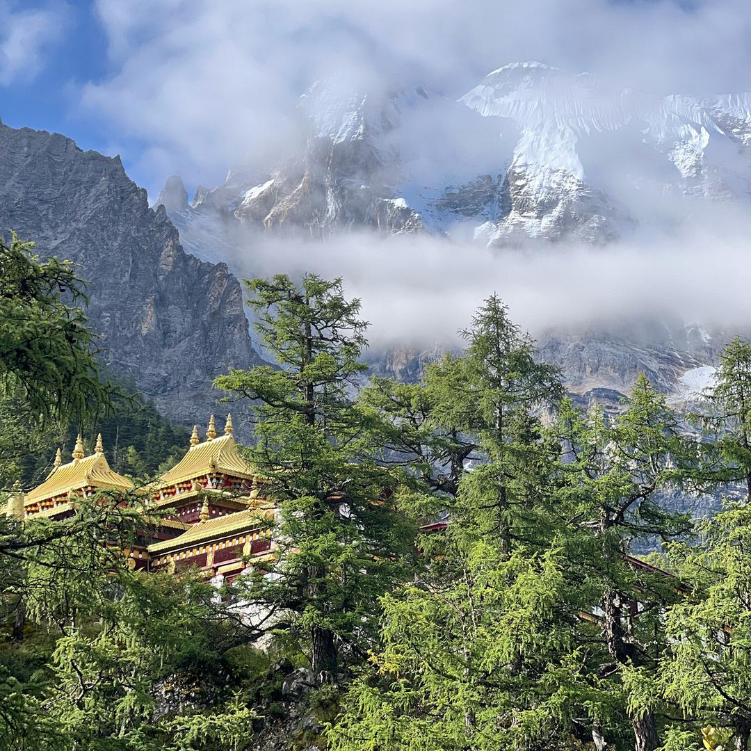 椰奶加冰