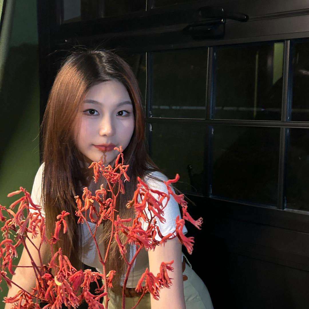🐰吃南瓜片片