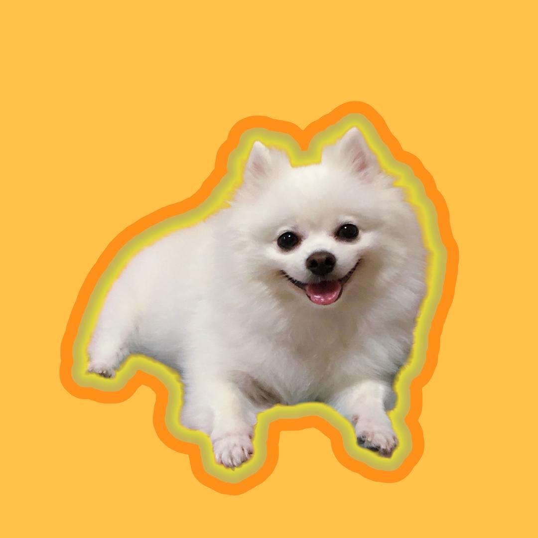 🌈奥利奥嗷嗷嗷嗷嗷