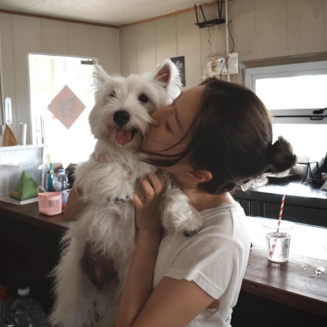 脑袋困掉惹