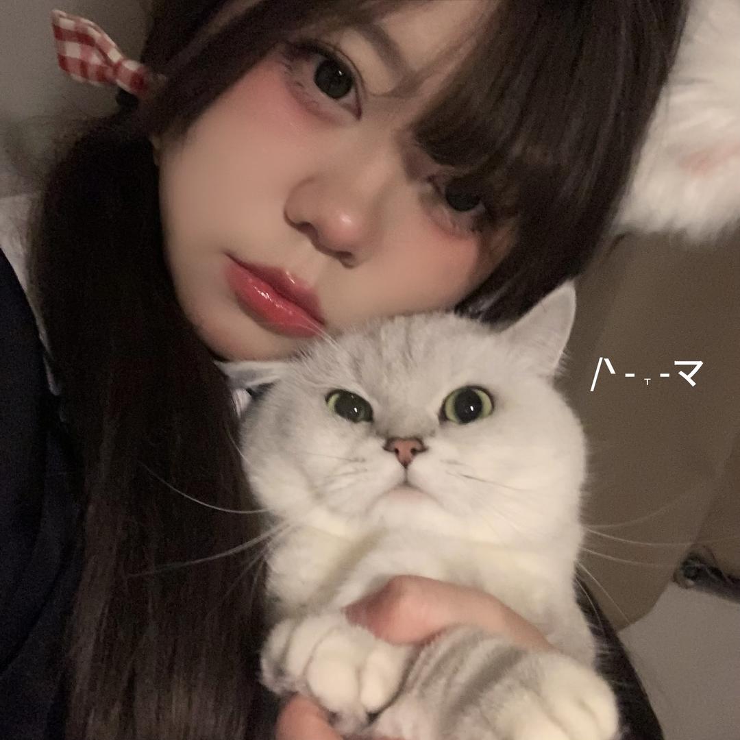 好猫猫