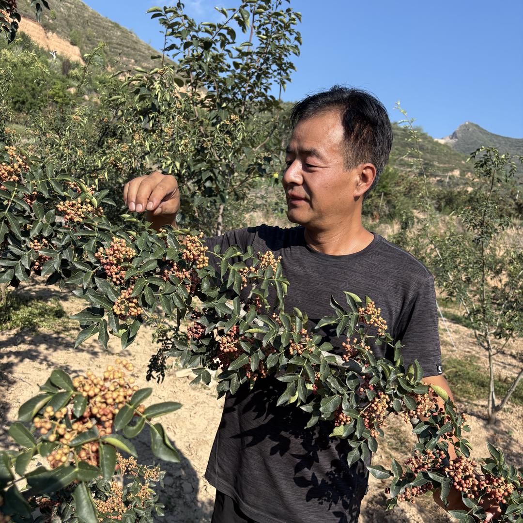 泽丽园土特产