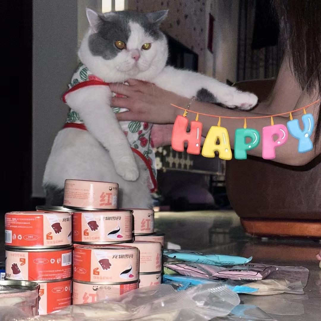 渝爱后援团团长