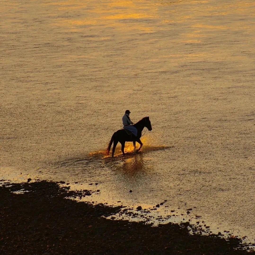 谈古论金-鑫濠门