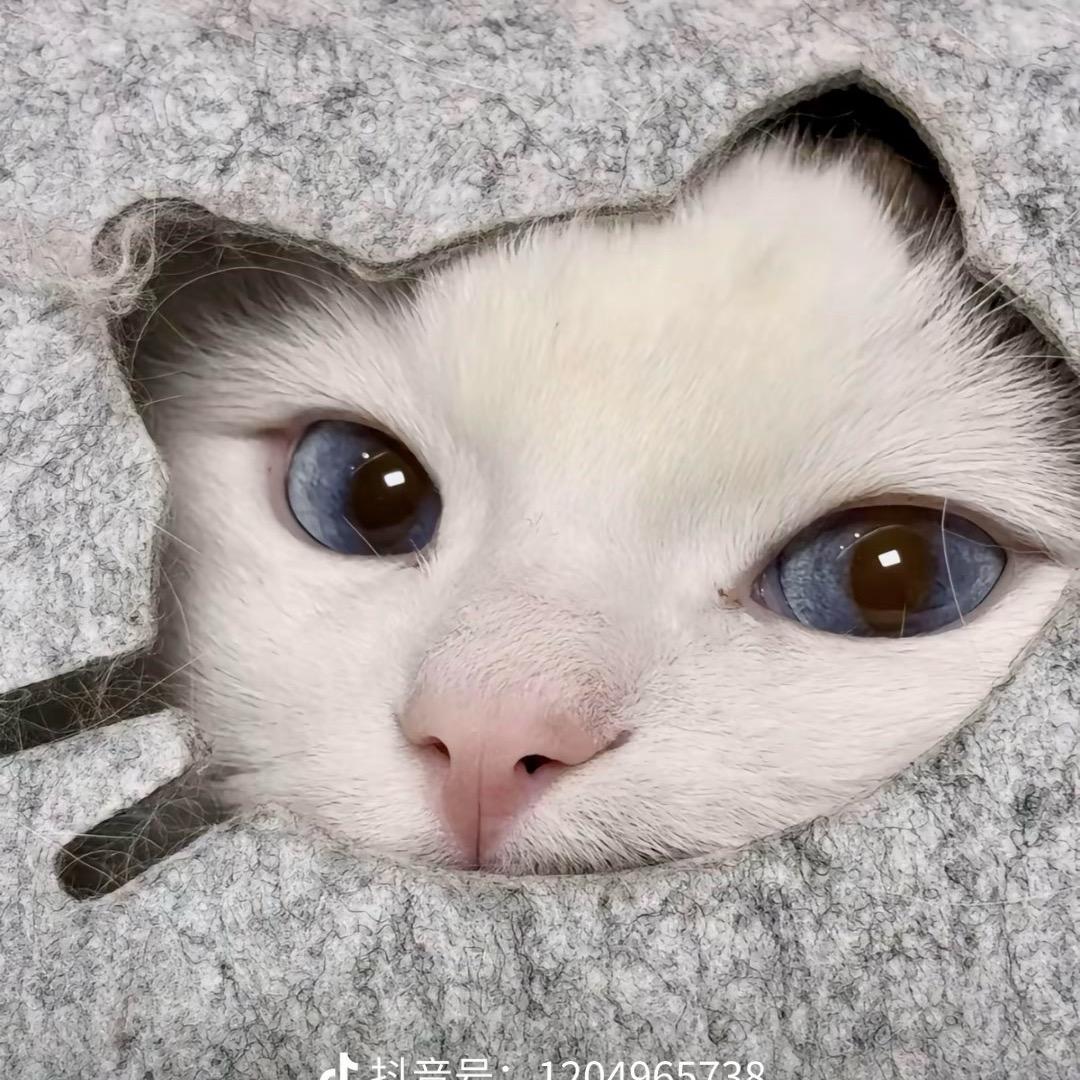 Ww（三角洲行动）