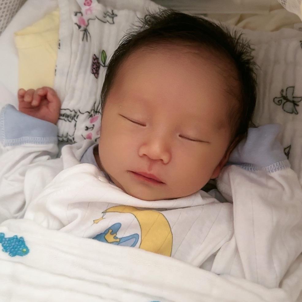 小锋仔的日常