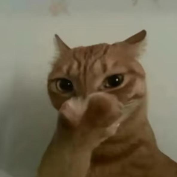 明心见性