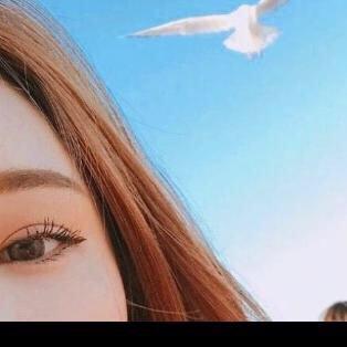 优乐没，《拒私聊，拒合拍》