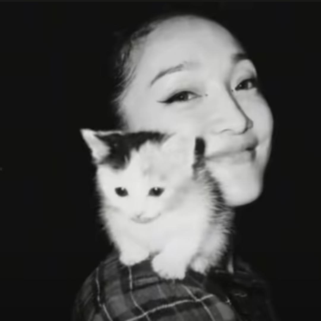 杨了个羊🐑