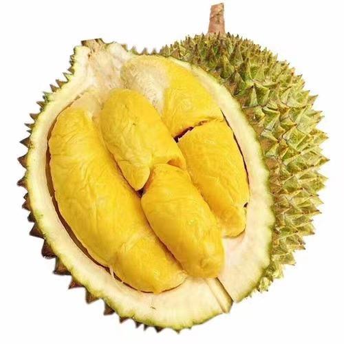 榴莲小王（工厂直播）