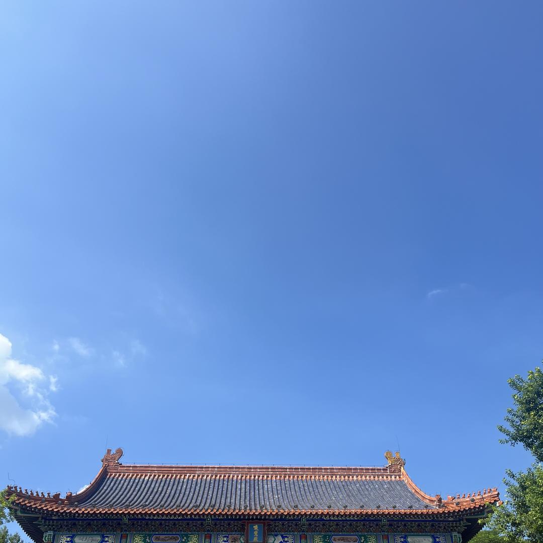 大少爷影视剪辑