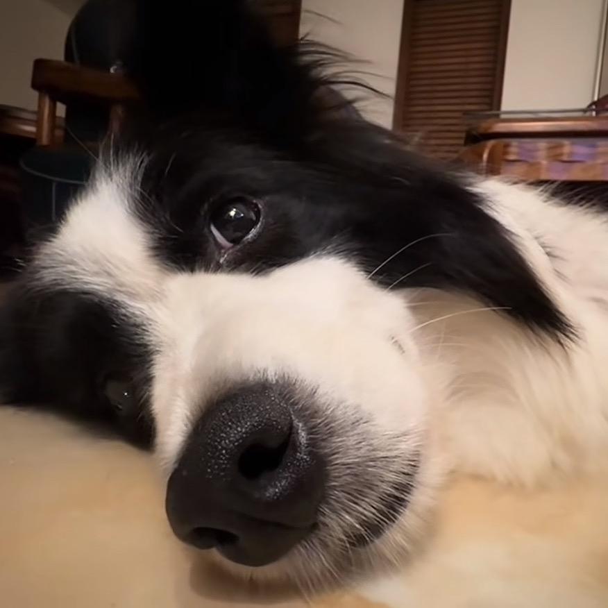 抑郁锅盖头二姑爹