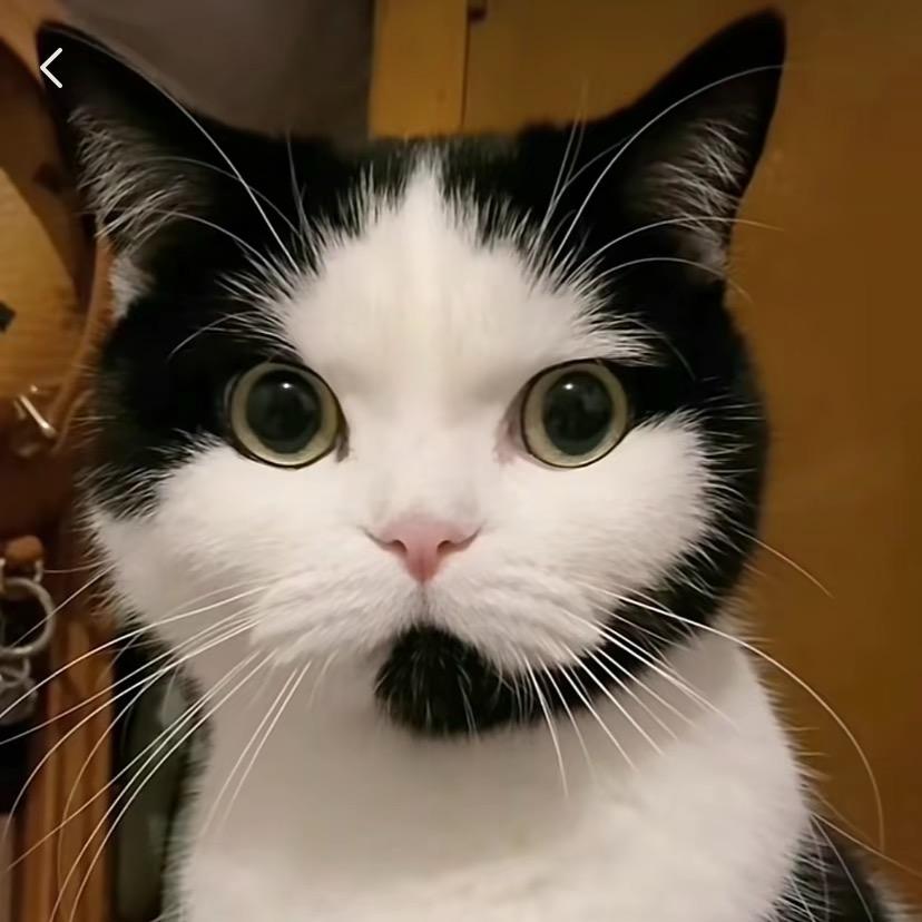 很不高兴为您服务