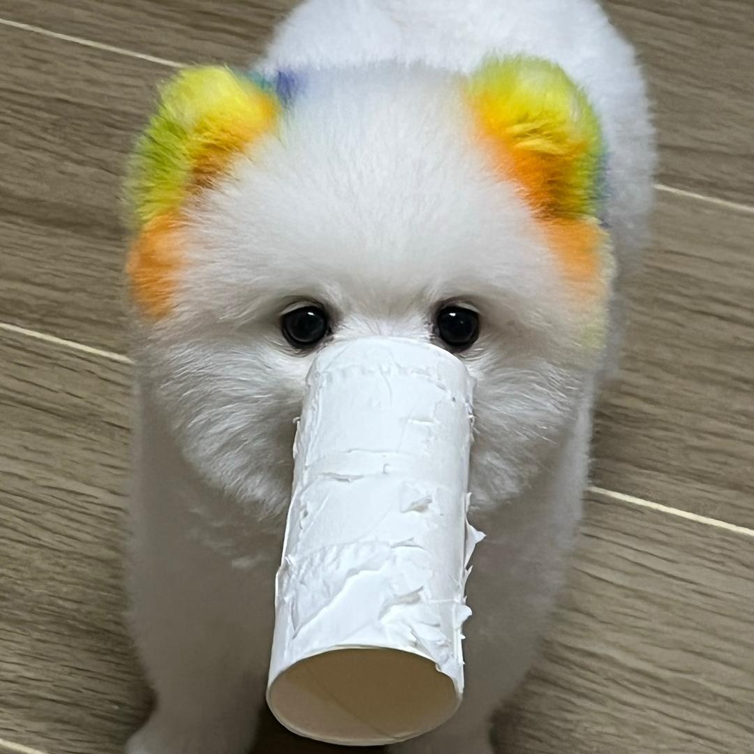 大宝贝咸鱼