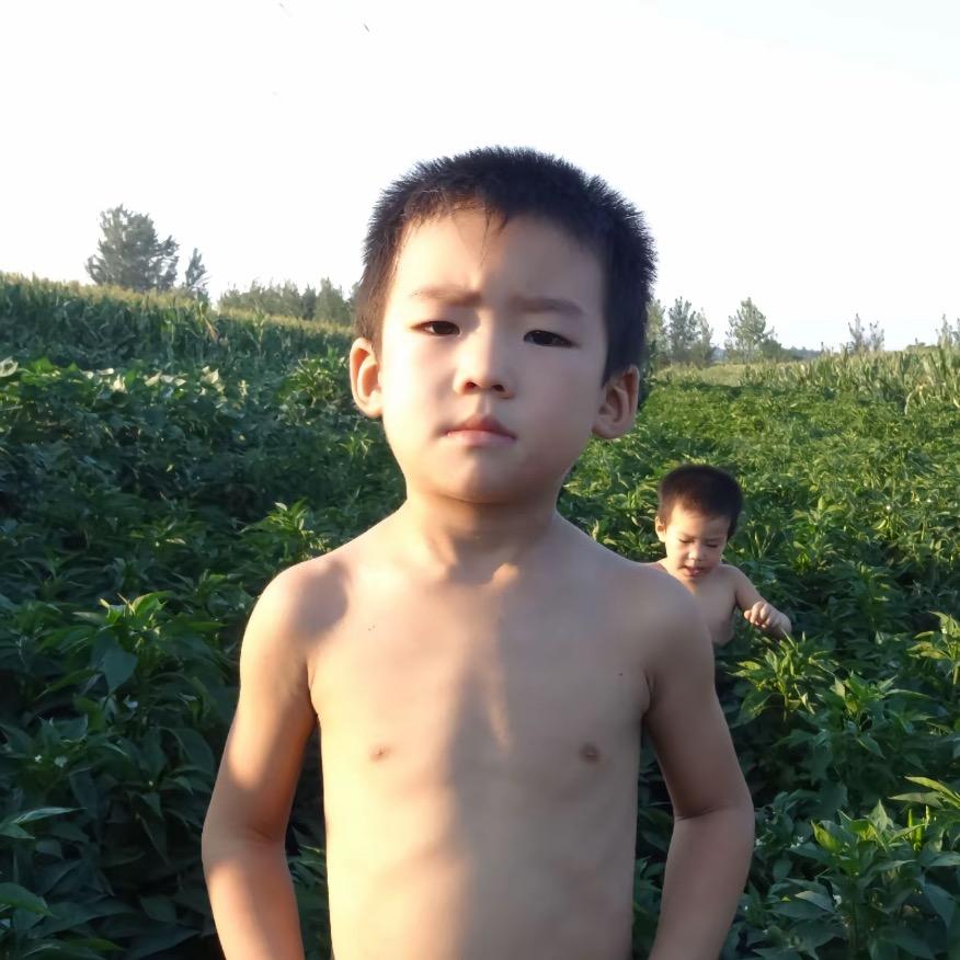 飞车芒果
