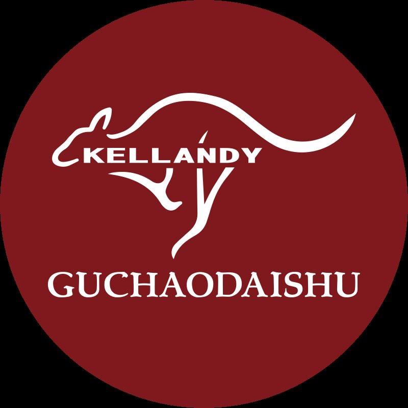 GUCHAODAISHU轻奢女包