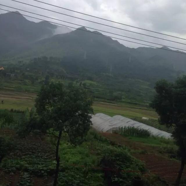 安博