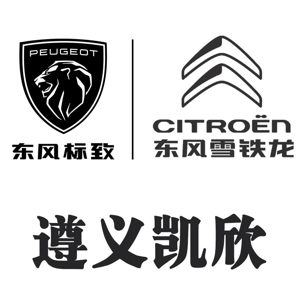 遵义市凯欣致远贸易服务有限公司