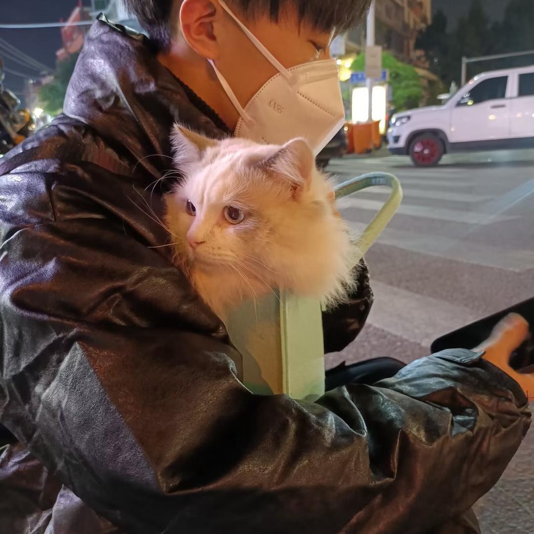 少来～这套（孞恸）