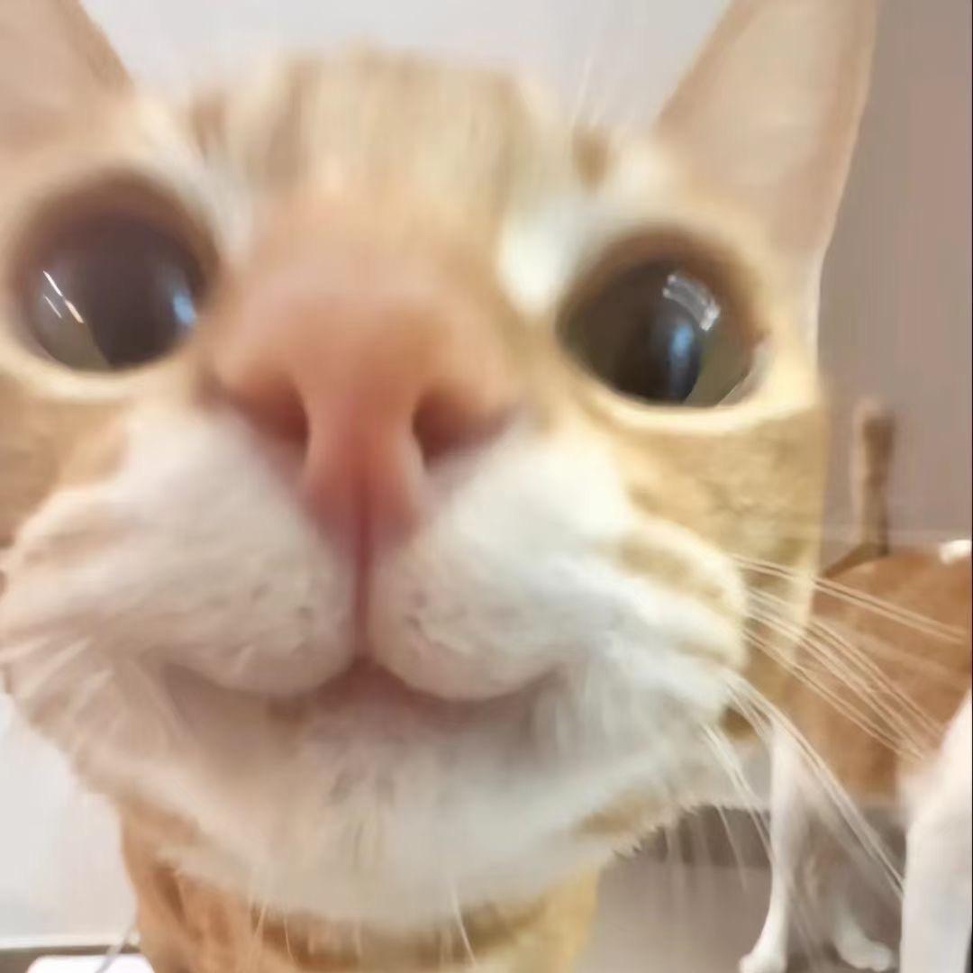 -O